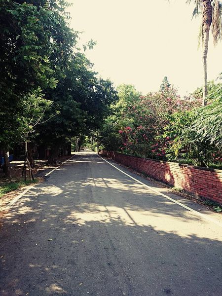 19905027_1568644023167281_2631735637013948004_n