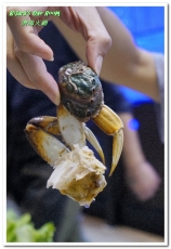 濟鴻火鍋:景美現流海鮮.市區也能吃到高檔活跳跳海鮮/特色鍋物──濟鴻火鍋