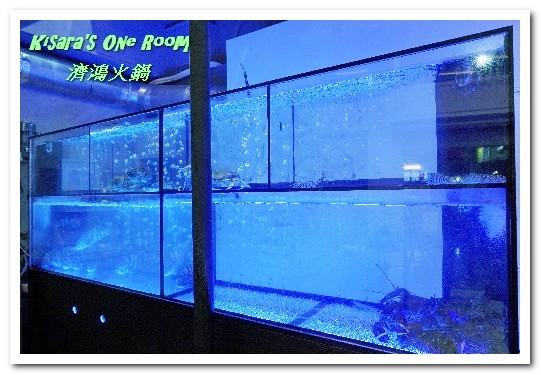 濟鴻火鍋:景美現流海鮮.市區也能吃到高檔活跳跳海鮮/特色鍋物──濟鴻火鍋