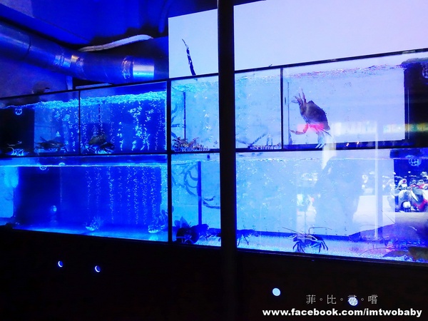 濟鴻火鍋:【捷運美食】濟鴻火鍋 漁港直送生猛海鮮 蝦兵蟹將活跳跳上桌 甜潤海鮮X極鮮肉品讓您大呼過癮!! 濟鴻火鍋:【捷運美食】濟鴻火鍋 漁港直送生猛海鮮 蝦兵蟹將活跳跳上桌 甜潤海鮮X極鮮肉品讓您大呼過癮!!