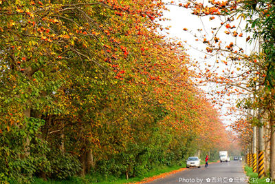 01_副本.jpg 01_副本.jpg