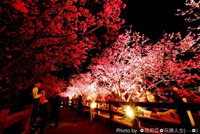 225531019_副本.jpg 225531019_副本.jpg