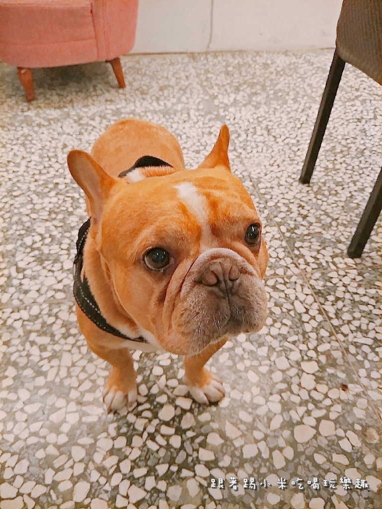 20170426 #2_170503_0004.jpg