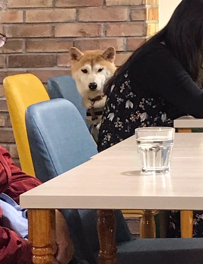 20190118_190118_0011.jpg 20190118_190118_0011.jpg