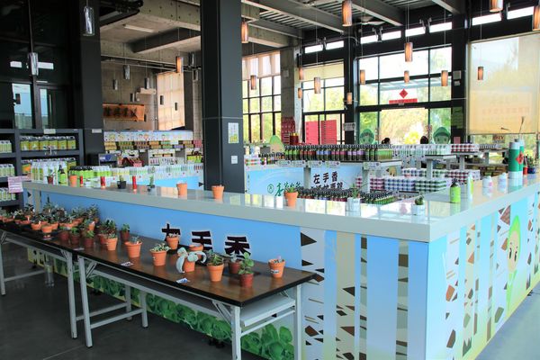 左手香故事館：【南投景點】左手香生活故事館~DIY屬於自己的天然手工皂~庭園造景結合環保的綠建築