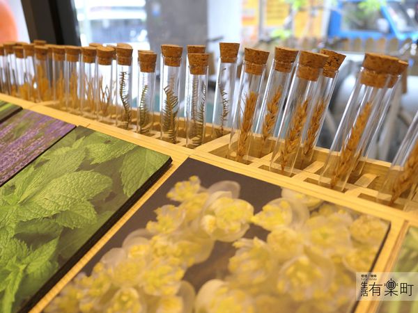 【台中住宿】綠宿行旅Green Hotel：綠色美學概念旅店，有趣互動心之光牆；來一趟說走就走的台中之旅，近草悟道廣場綠園道