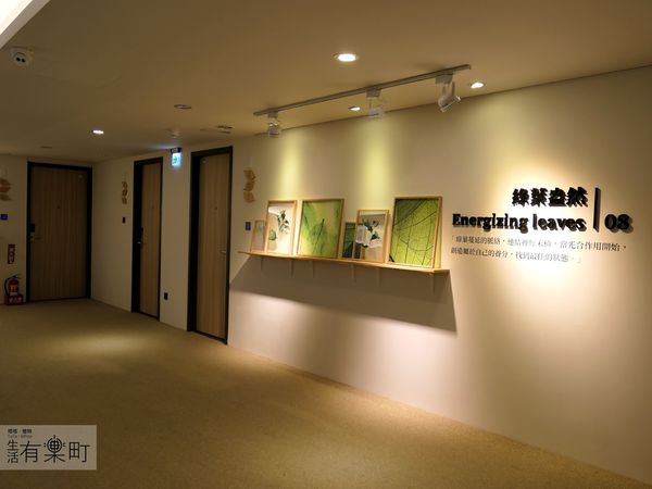 【台中住宿】綠宿行旅Green Hotel：綠色美學概念旅店，有趣互動心之光牆；來一趟說走就走的台中之旅，近草悟道廣場綠園道