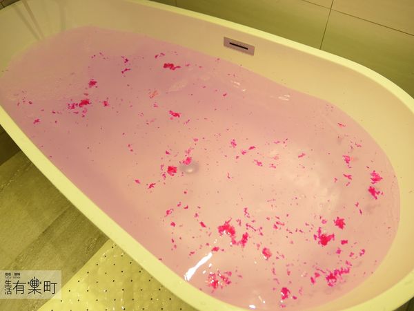 【台中住宿】綠宿行旅Green Hotel：綠色美學概念旅店，有趣互動心之光牆；來一趟說走就走的台中之旅，近草悟道廣場綠園道