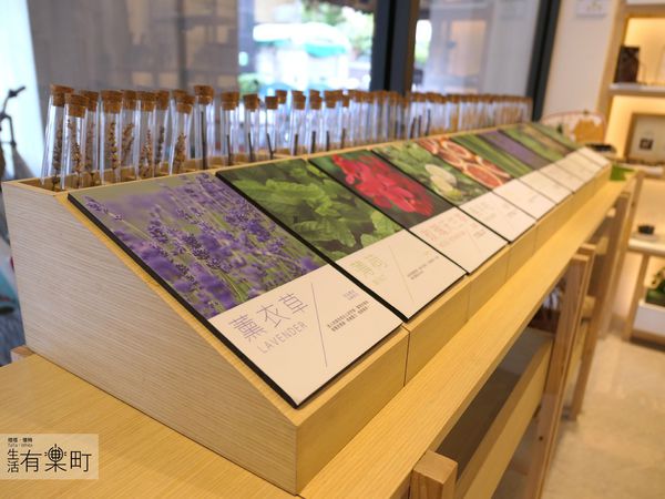 【台中住宿】綠宿行旅Green Hotel：綠色美學概念旅店，有趣互動心之光牆；來一趟說走就走的台中之旅，近草悟道廣場綠園道