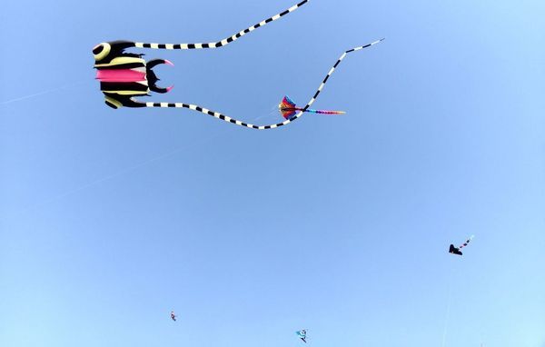 綠宿行旅：| 台中住宿 | 綠宿行旅 整棟建築採天井自然採光．結合環保與文藝氣息的創意旅館，草悟道微旅行