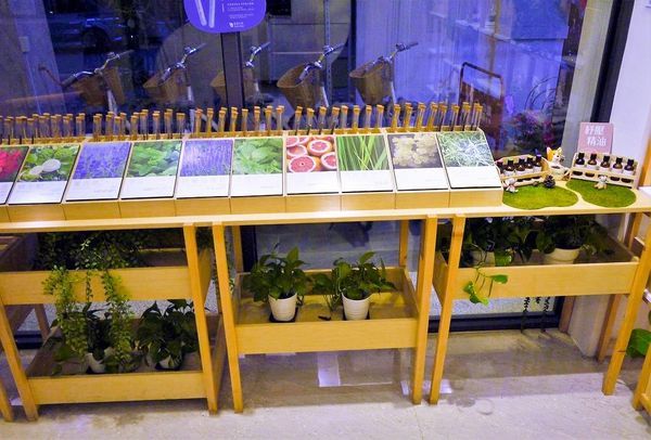 綠宿行旅：| 台中住宿 | 綠宿行旅 整棟建築採天井自然採光．結合環保與文藝氣息的創意旅館，草悟道微旅行