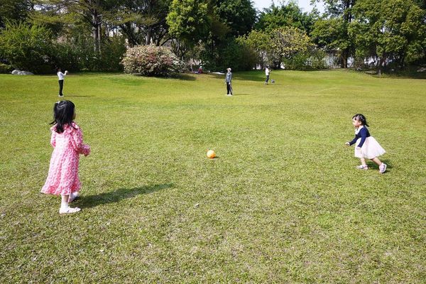 綠宿行旅：| 台中住宿 | 綠宿行旅 整棟建築採天井自然採光．結合環保與文藝氣息的創意旅館，草悟道微旅行