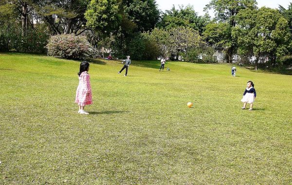 綠宿行旅：| 台中住宿 | 綠宿行旅 整棟建築採天井自然採光．結合環保與文藝氣息的創意旅館，草悟道微旅行