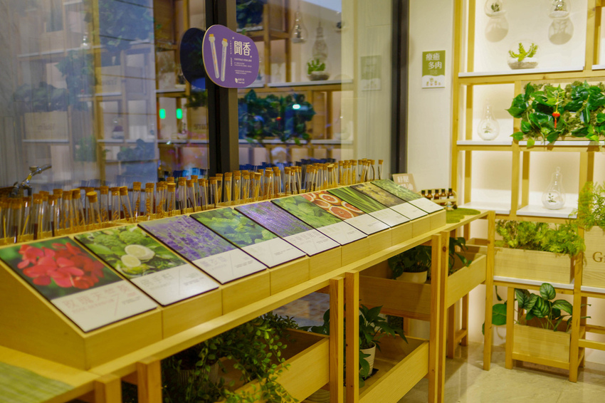 台中草悟道住宿 綠宿行旅Green Hotel 環保旅店榮獲三星級 LED心之光牆放煙火親子互動更有趣20.jpg