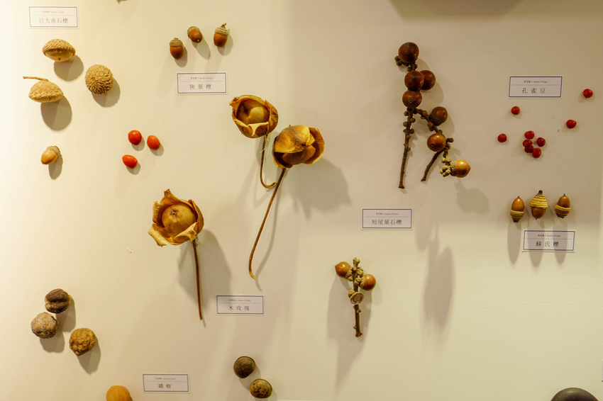 台中草悟道住宿 綠宿行旅Green Hotel 環保旅店榮獲三星級 LED心之光牆放煙火親子互動更有趣60.jpg