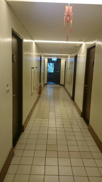 溪頭教育中心：南投溪頭~臺大實驗林溪頭教育中心~螢火蟲一閃一閃亮晶晶~