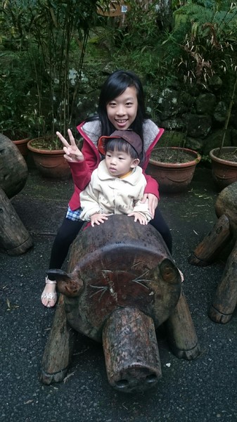 溪頭教育中心：南投溪頭~臺大實驗林溪頭教育中心~螢火蟲一閃一閃亮晶晶~