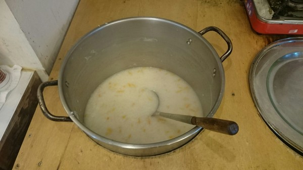 溪頭教育中心：南投溪頭~臺大實驗林溪頭教育中心~螢火蟲一閃一閃亮晶晶~