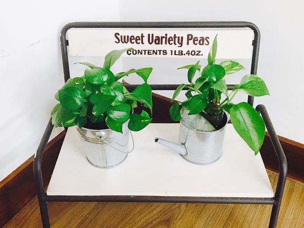 台北美食│【捷運小南門站】每天只煮一種餐，絕對是選擇障礙者的福音