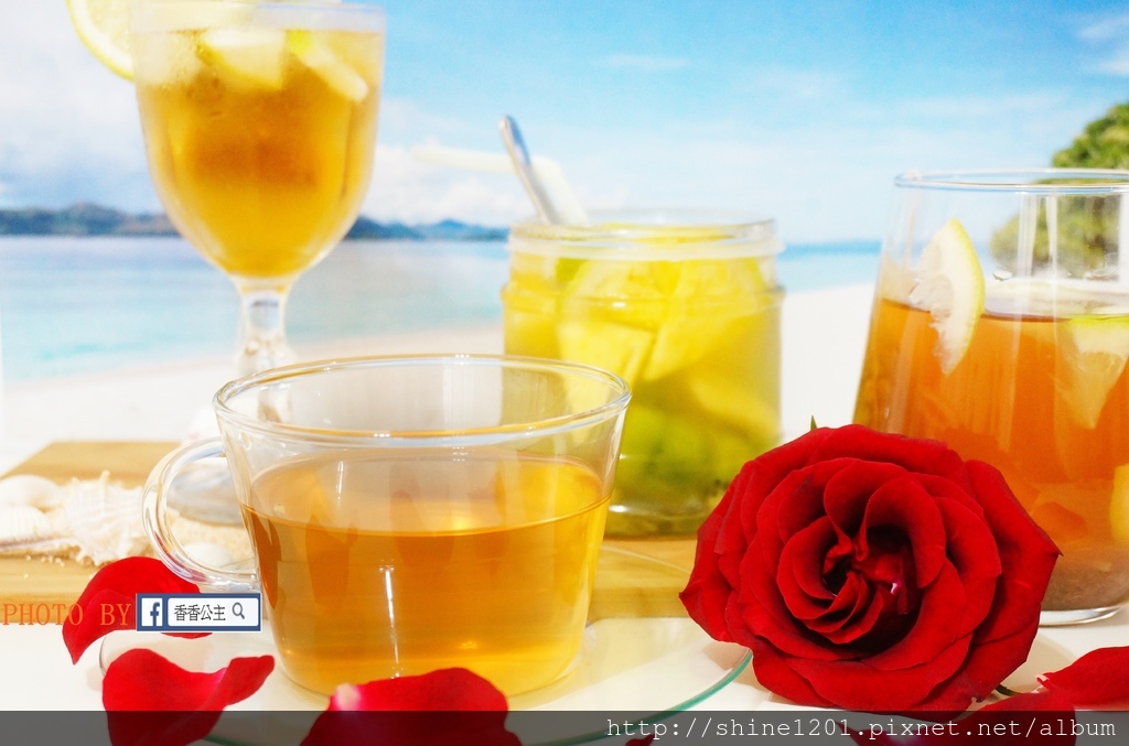 檸檬果茶 台山禾作社 宅配茶葉