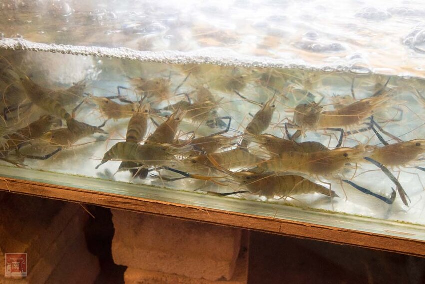 【臺南美食】半戶外美食街在安平｜有小朋友大沙池｜露天寵物野餐空間｜假日駐唱演唱｜串燒｜海鮮｜熱炒｜飲料~~請上桌5號港灣 - 南人幫