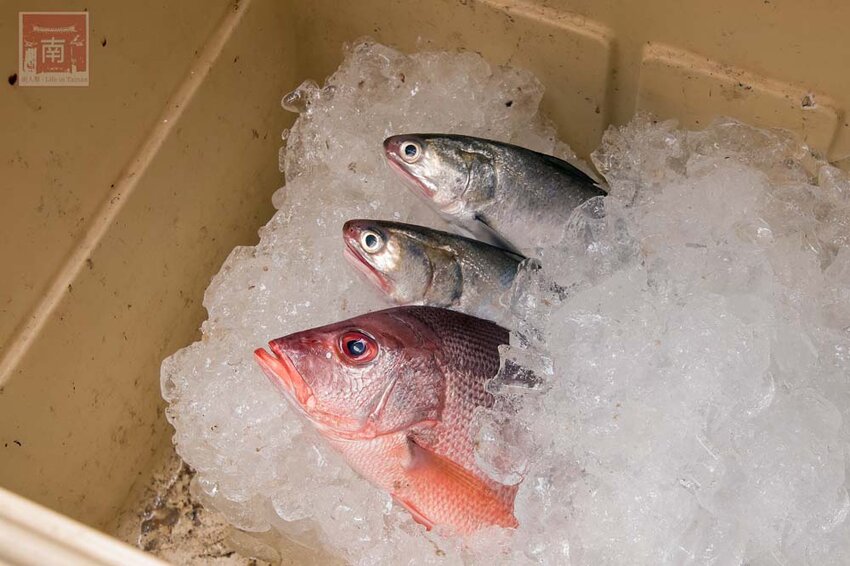 【臺南美食】半戶外美食街在安平｜有小朋友大沙池｜露天寵物野餐空間｜假日駐唱演唱｜串燒｜海鮮｜熱炒｜飲料~~請上桌5號港灣 - 南人幫