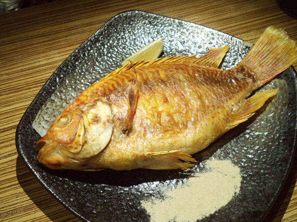 東區串燒+酒吧推薦-串燒殿!!感受一下迷人的微醺時光~