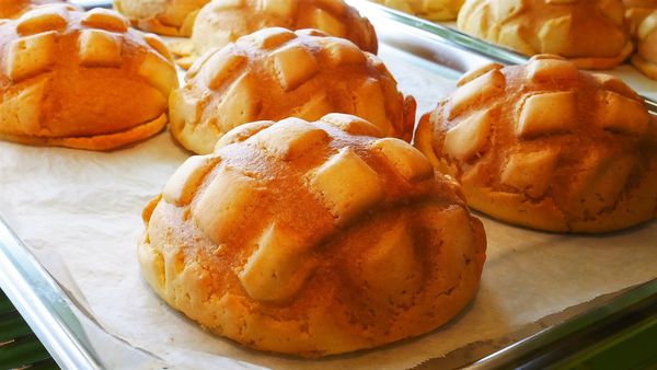 【台南市-中西區】來自日本的冰火菠蘿『世界第二好吃的現烤冰淇淋菠蘿麵包』,在台南小西門插旗啦🎉🎉🎉