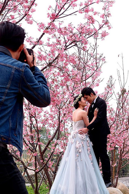 14692044_2025881730971418_4656113909373089403_o