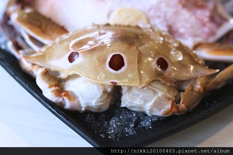 北極熊涮涮鍋 (45).JPG