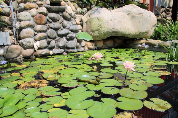 啄木鳥之丘泡腳丫親子餐廳： 【南投景點】啄木鳥之丘泡腳ㄚ親子餐廳~藍白色地中海風格，泡泡腳ㄚ，聊聊天，泡湯配美食滿足又舒心，沙坑及戲水池小孩子很愛