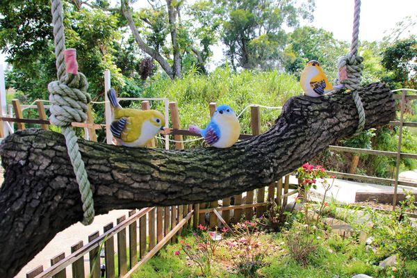 啄木鳥之丘泡腳丫親子餐廳： 【南投景點】啄木鳥之丘泡腳ㄚ親子餐廳~藍白色地中海風格，泡泡腳ㄚ，聊聊天，泡湯配美食滿足又舒心，沙坑及戲水池小孩子很愛