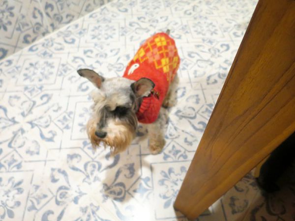 Ian_s table迷路私宅料理 (20).jpg