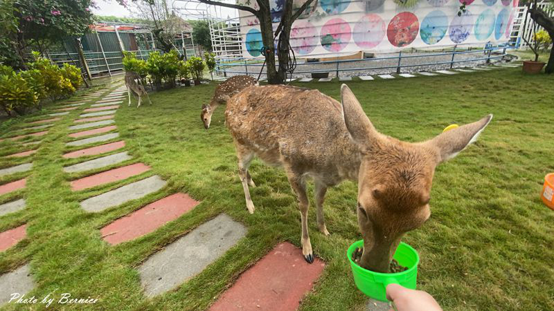 1026 2-Play威斯汀20.jpg