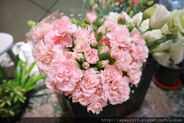 IMG_9647.JPG IMG_9647.JPG