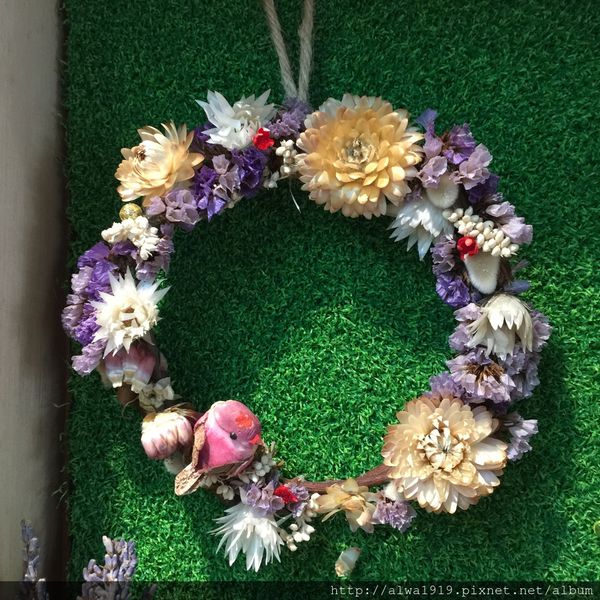 IMG_5721.JPG IMG_5721.JPG