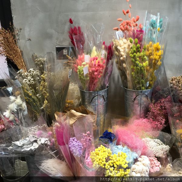 IMG_5732.JPG IMG_5732.JPG