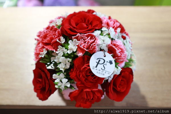 IMG_9650.JPG IMG_9650.JPG