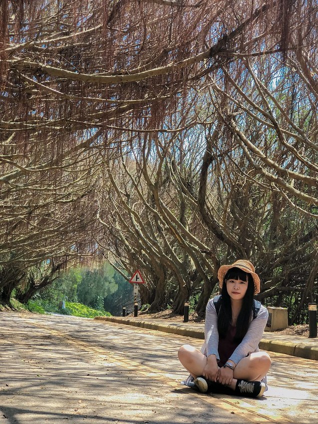 SelfieCity_20201016235845_org