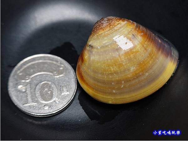 大蛤蜊-2021驛庭鍋物 (1).jpg