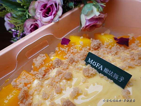 2022夏日芒果升層-魔法氛子 (7).jpg