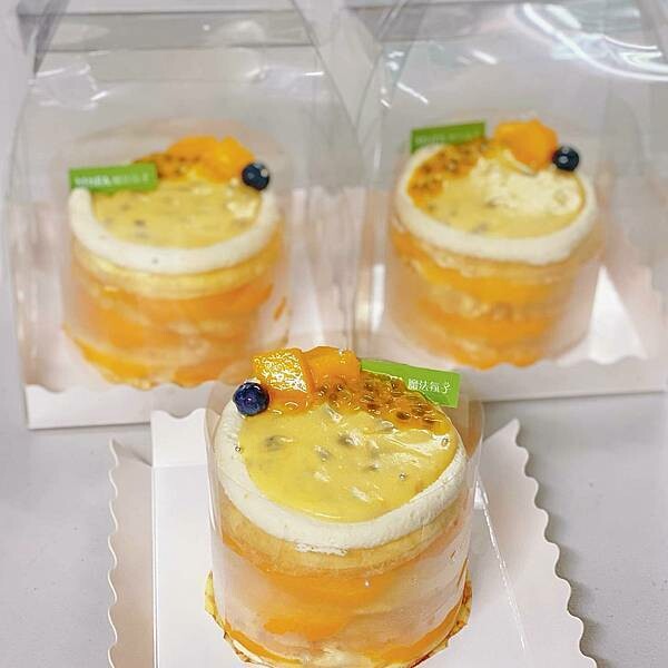 2023芒果千層4吋-魔法氛子.jpg