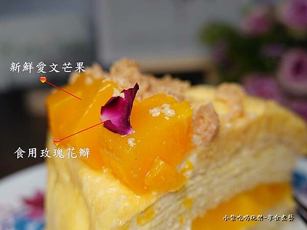 2022夏日芒果升層-魔法氛子 (15).jpg