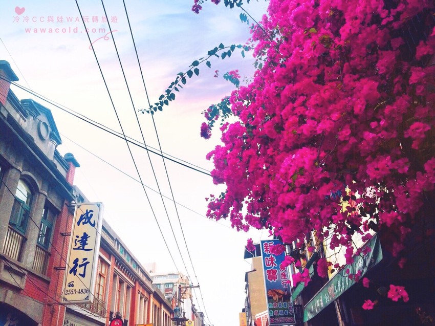 台北 大稻埕 │ 一起漫步百年風華迪化街、喝霞海城隍廟月老加持的大盜陳月老奶茶跟烏魚子奶蓋