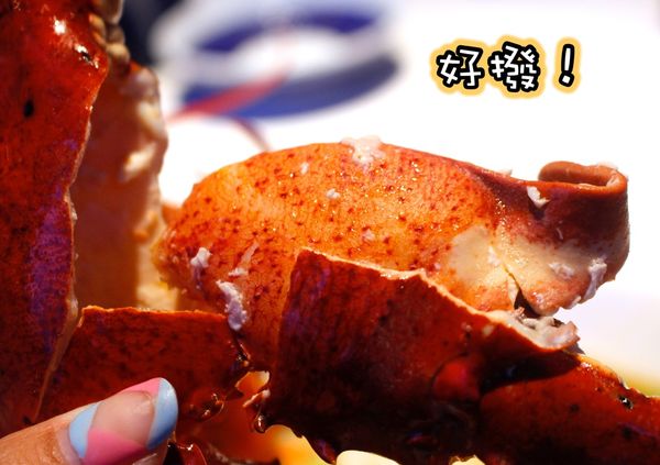 AA (4).jpg AA (4).jpg