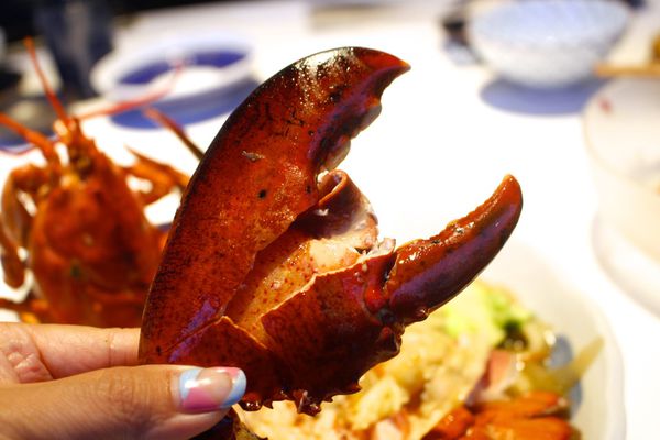 _MG_5034.JPG _MG_5034.JPG