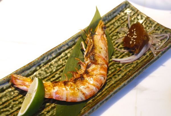 _MG_5004.JPG _MG_5004.JPG