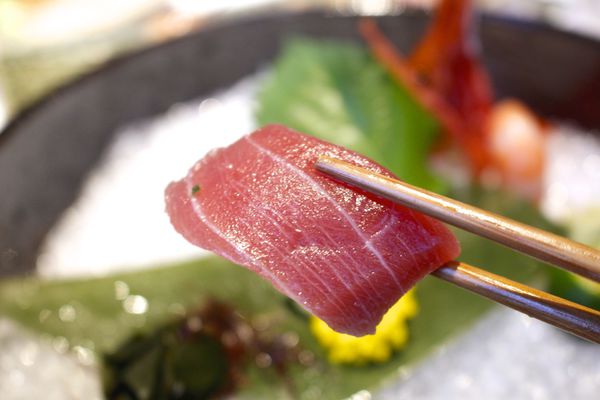 _MG_5011.JPG _MG_5011.JPG