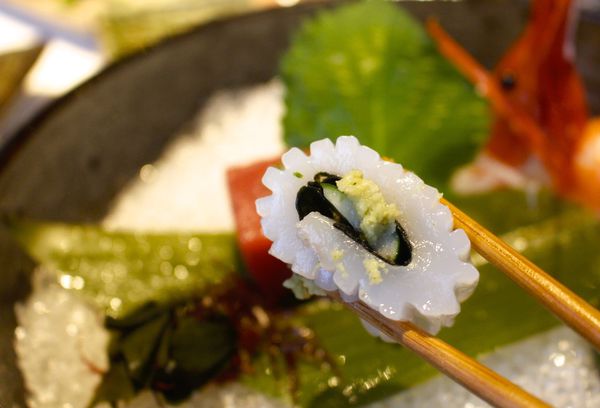 _MG_5010.JPG _MG_5010.JPG