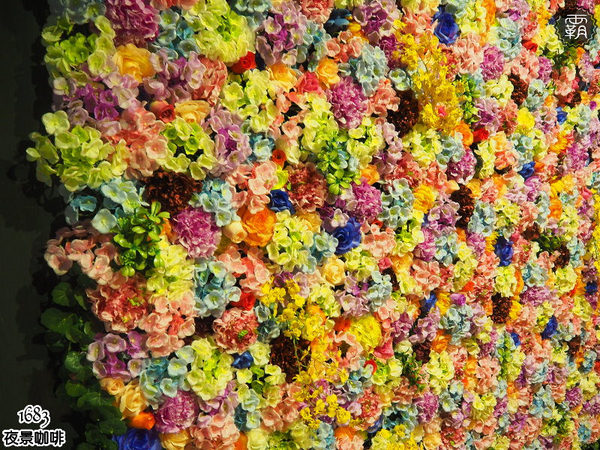 1683 夜景咖啡:1683夜景咖啡,賞夜景還有夢幻花牆可以合照~